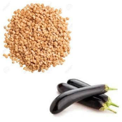 Brinjal Long Seeds (Lambay Bayngan)
