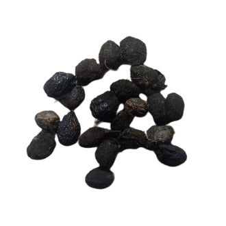 Curry Leaves Plant Seeds (10 Seeds)