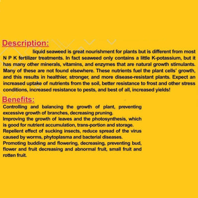 Seaweed (Organic Liquid Fertilizer) 100 ML