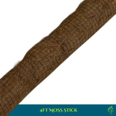 4ft Moss Stick for Plant Support – 3ft Moss Coverage with Stainless Steel Net