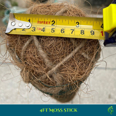 4ft Moss Stick for Plant Support – 3ft Moss Coverage with Stainless Steel Net