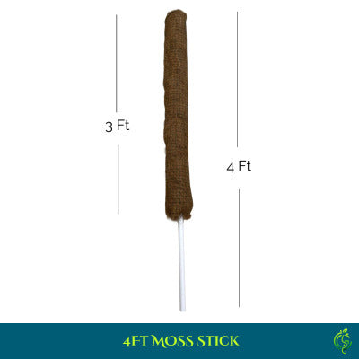4ft Moss Stick for Plant Support – 3ft Moss Coverage with Stainless Steel Net