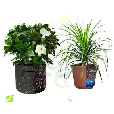 Single Breathable Fabric Grow Bag for Terrace Gardening best for growing Plant/Vegetable/Herb/Fruit