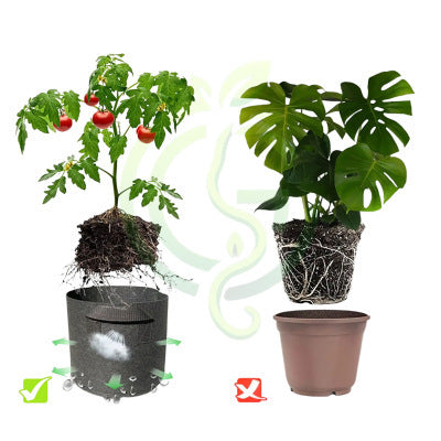 Single Breathable Fabric Grow Bag for Terrace Gardening best for growing Plant/Vegetable/Herb/Fruit