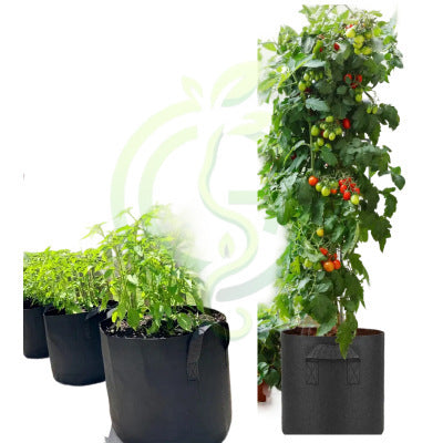 Single Breathable Fabric Grow Bag for Terrace Gardening best for growing Plant/Vegetable/Herb/Fruit