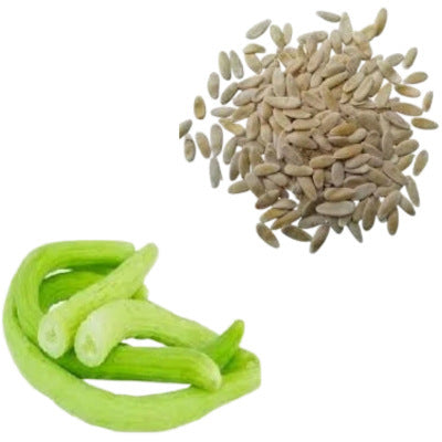 Yellow Cucumber (Kakri) Seeds