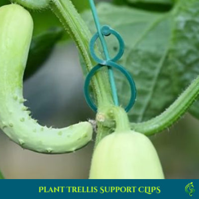 Plant Trellis Clips | Reusable Plant Support & Vine Clips (10 Pcs)