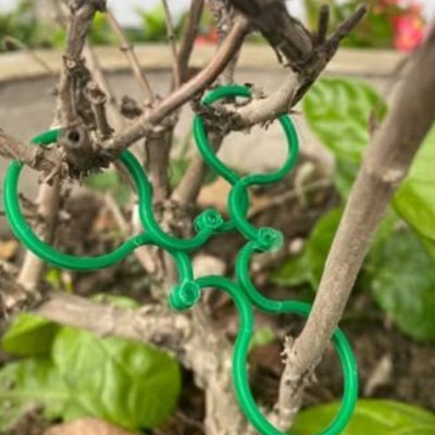 Plant Trellis Clips | Reusable Plant Support & Vine Clips (10 Pcs)