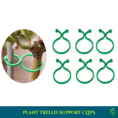 Plant Trellis Clips | Reusable Plant Support & Vine Clips (10 Pcs)
