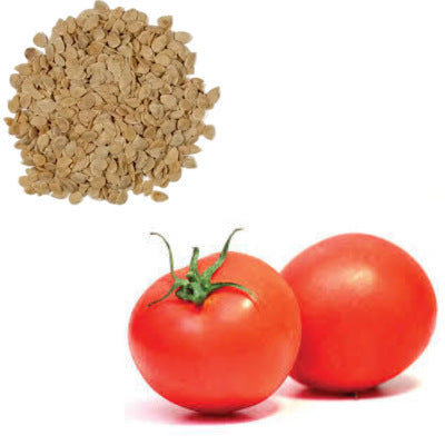 Desi Tomato Seeds (Round Variety)