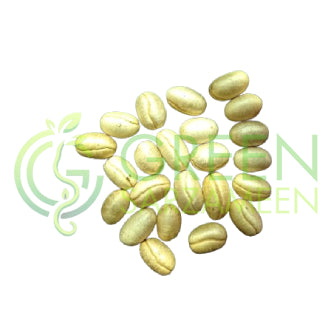 Ulta Ashok Tree Seeds (10 Seeds)