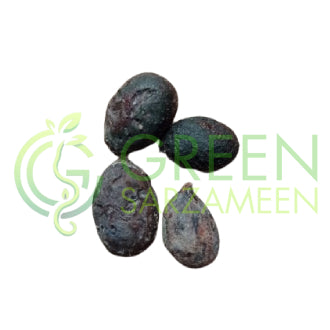 Ulta Ashok Tree Seeds (10 Seeds)
